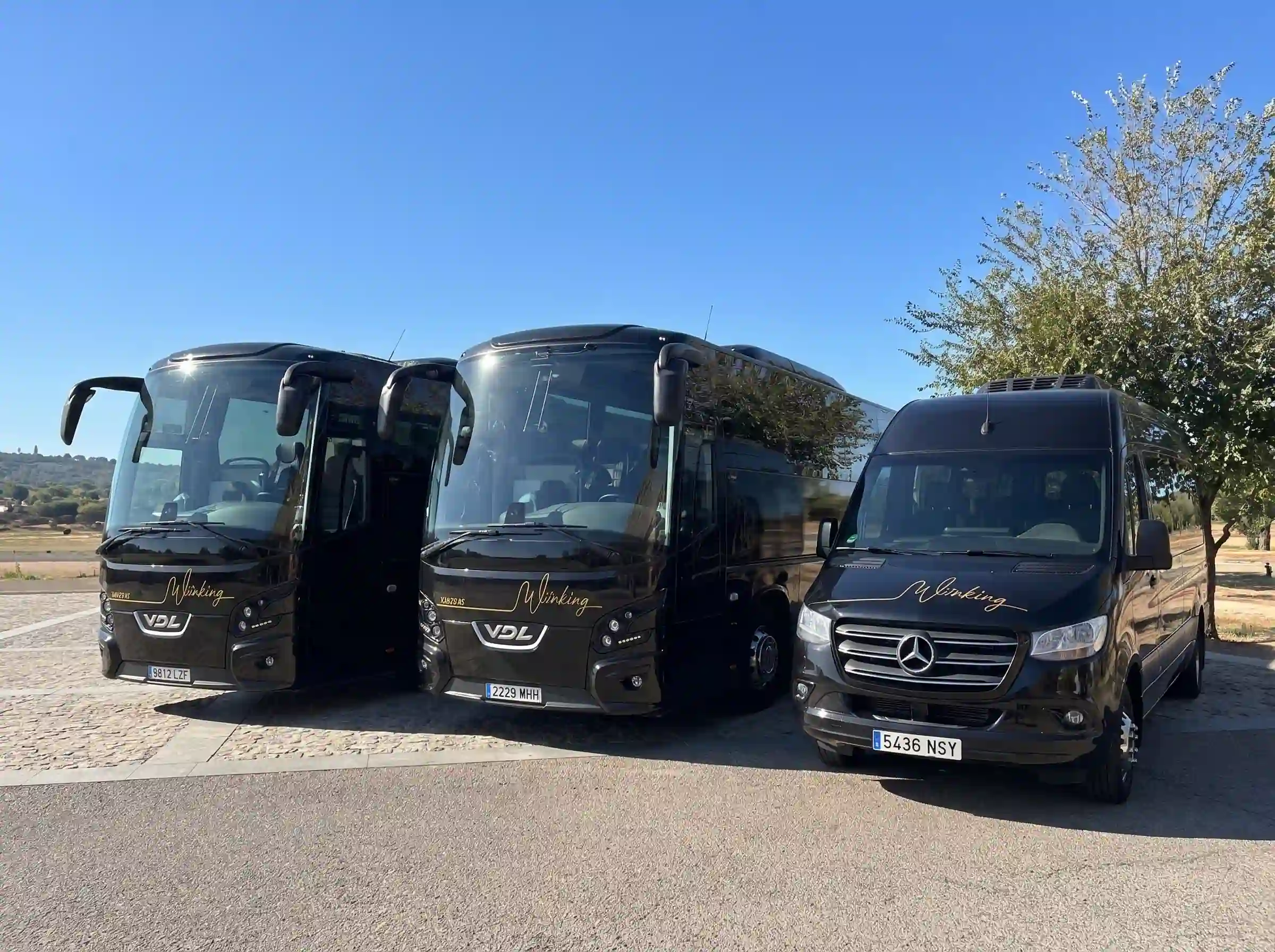 Dos autocares VDL negros y un microbús Mercedes-Benz de Winking Bus de frente, aparcados en una explanada bajo un cielo despejado