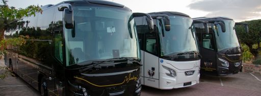 Nuestra flota de autocares y minibuses modernos y adaptados a cada necesidad